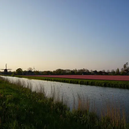 Cozy In Near Amsterdam And